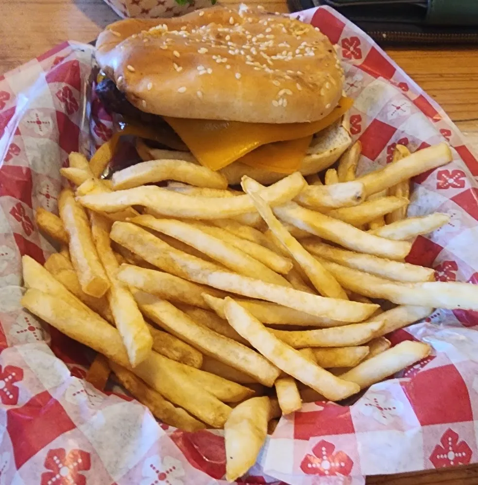 Cheese Burger & Fries